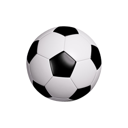 futbolo kamuolys